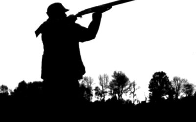 Graco Corporation Offers Great Shotgun Accessories For Youth Shooters